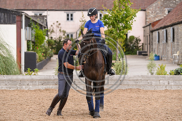 Collective Equestrian
