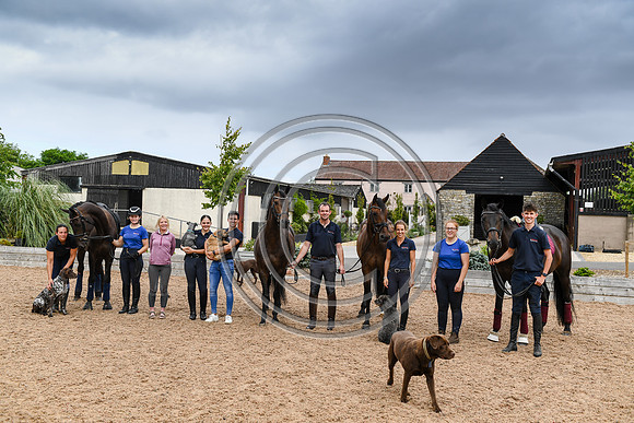 Collective Equestrian