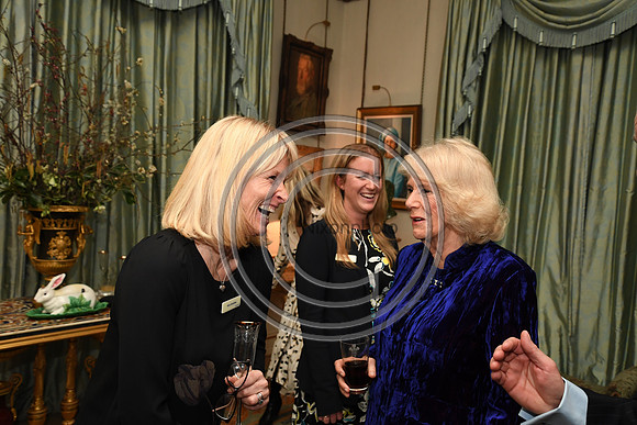 DUCHESS OF CORNWALL_BEF_PN22_11033