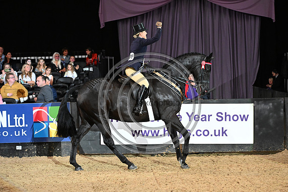 Forgeland Hyde Park_HOYS_PN23_17586