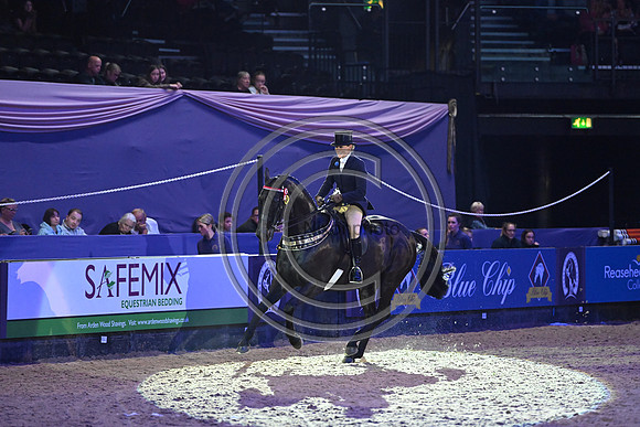 Forgeland Hyde Park_HOYS_PN23_17587