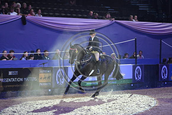 Forgeland Hyde Park_HOYS_PN23_17588