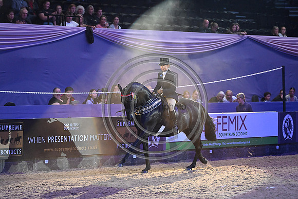Forgeland Hyde Park_HOYS_PN23_17589