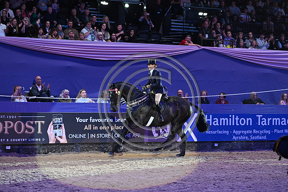 Forgeland Hyde Park_HOYS_PN23_17592