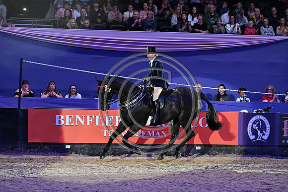 Forgeland Hyde Park_HOYS_PN23_17594