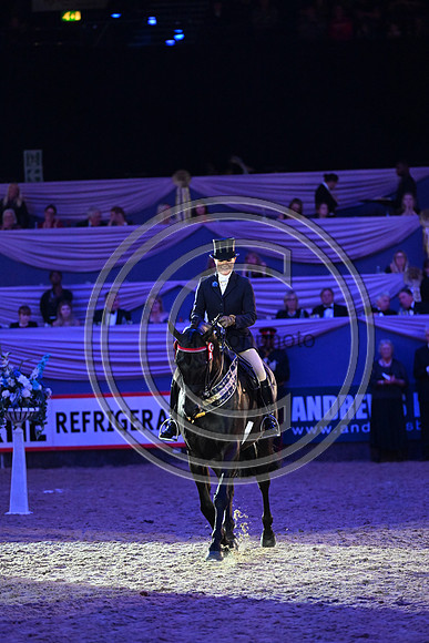Forgeland Hyde Park_HOYS_PN23_17599