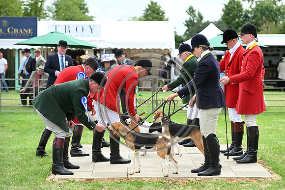 Festival of Hounds 2024