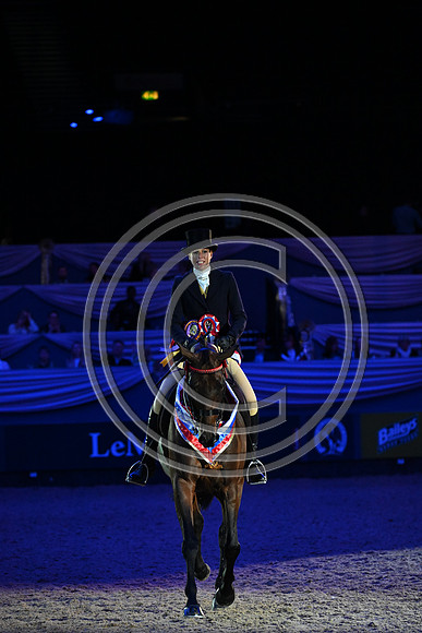 HorseNo545_HOYS_PN23_101610