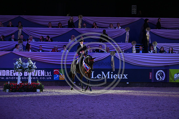 HorseNo545_HOYS_PN23_101600