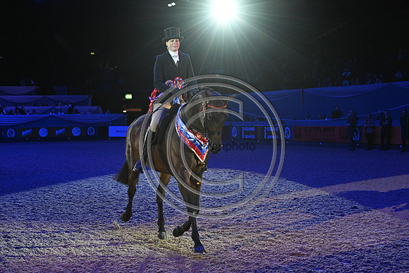 HorseNo545_HOYS_PN23_101630