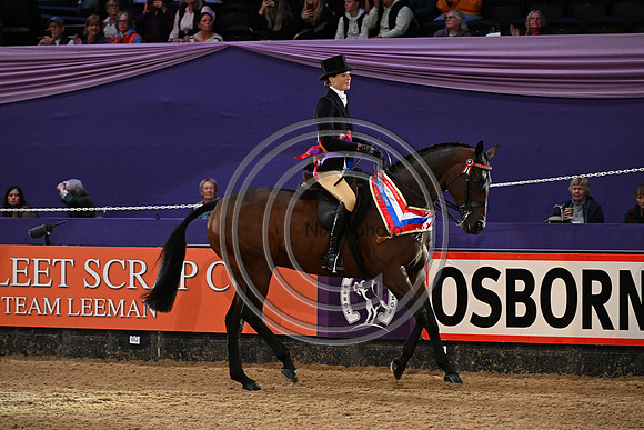 HorseNo545_HOYS_PN23_101637