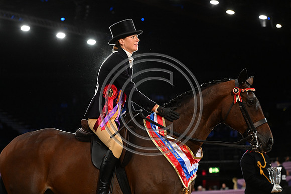 HorseNo545_HOYS_PN23_101638