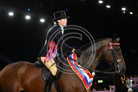 HorseNo545_HOYS_PN23_101640