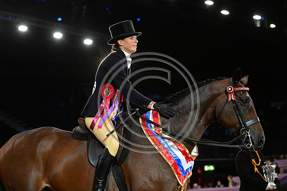 HorseNo545_HOYS_PN23_101639