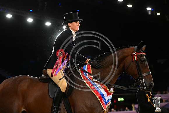 HorseNo545_HOYS_PN23_101641