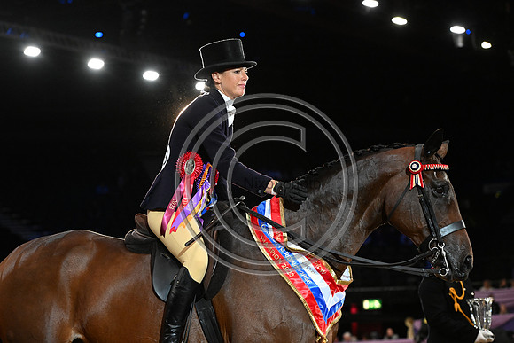 HorseNo545_HOYS_PN23_101642