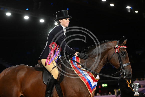 HorseNo545_HOYS_PN23_101643