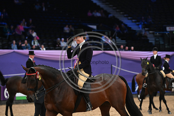 HorseNo545_HOYS_PN23_101644