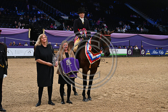 HorseNo545_HOYS_PN23_101651
