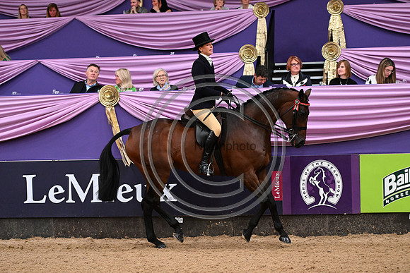 HorseNo545_HOYS_PN23_101658