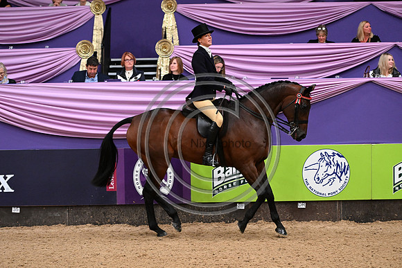 HorseNo545_HOYS_PN23_101659