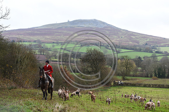 Ludlow_Hunting_49