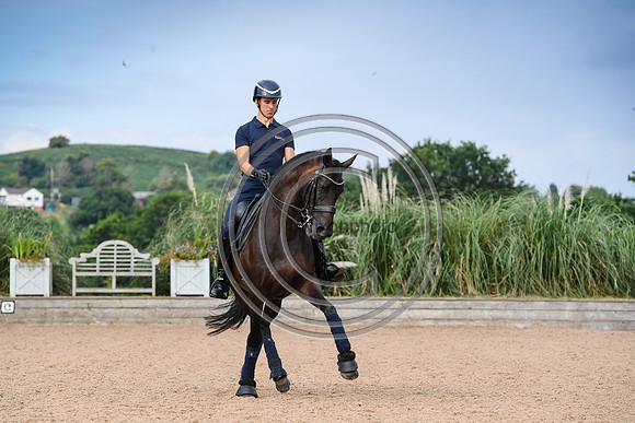 Collective Equestrian