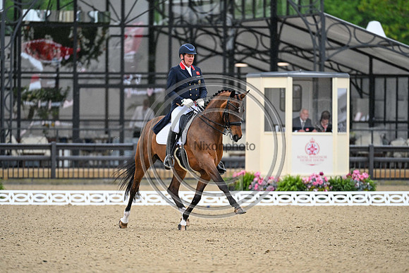 Emile Faurie_Bellevue_RWHS_PN24_130869