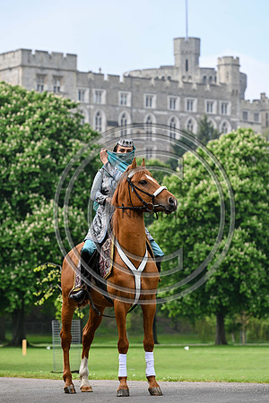 PhotoCall_RWHS_PN24_130797