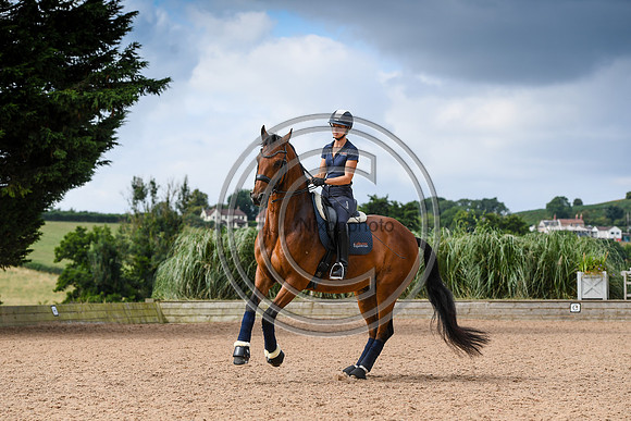 Collective Equestrian