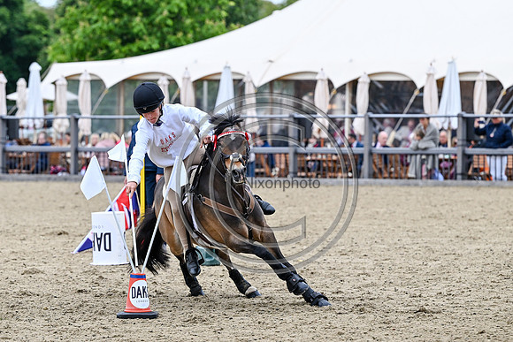 DAKS_PC_RWHS25_P189995