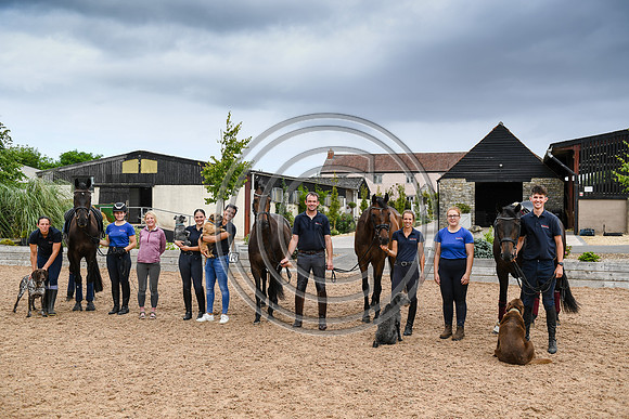 Collective Equestrian