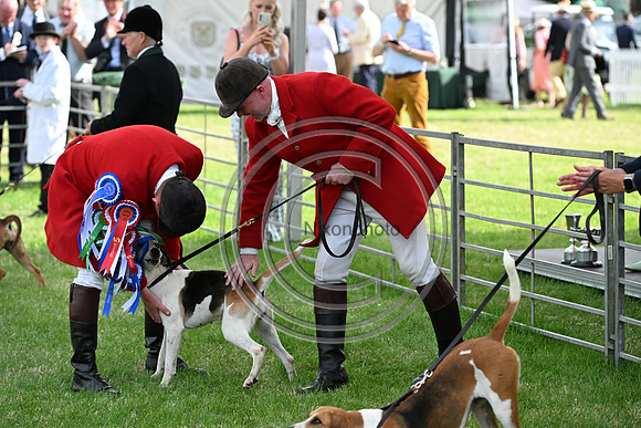 Festival of Hounds 2024