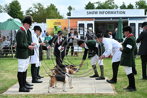 Festival of Hounds 2024