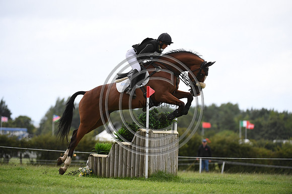 Burgham International Horse