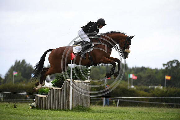 Burgham International Horse