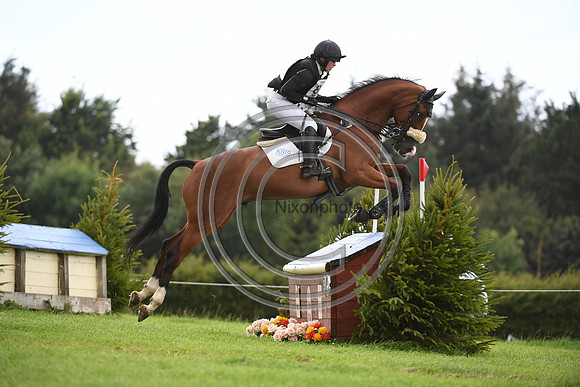 Burgham International Horse