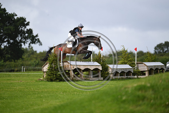 Burgham International Horse