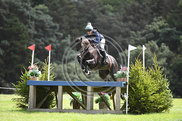 Burgham International Horse