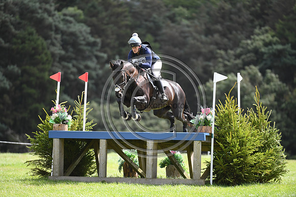 Burgham International Horse