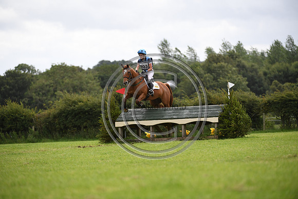 Burgham International Horse