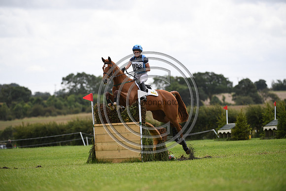 Burgham International Horse