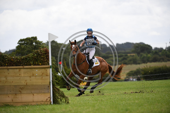 Burgham International Horse