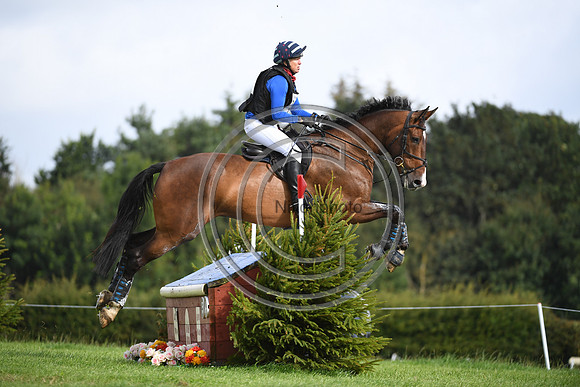 Burgham International Horse