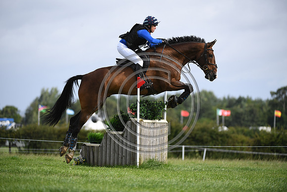 Burgham International Horse