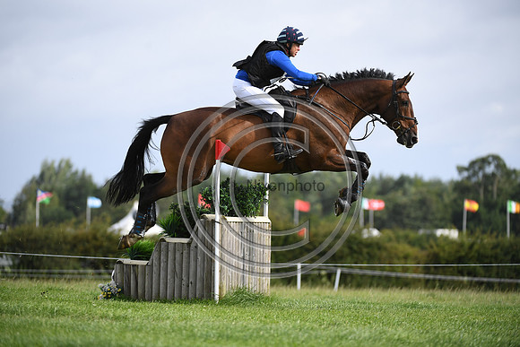 Burgham International Horse