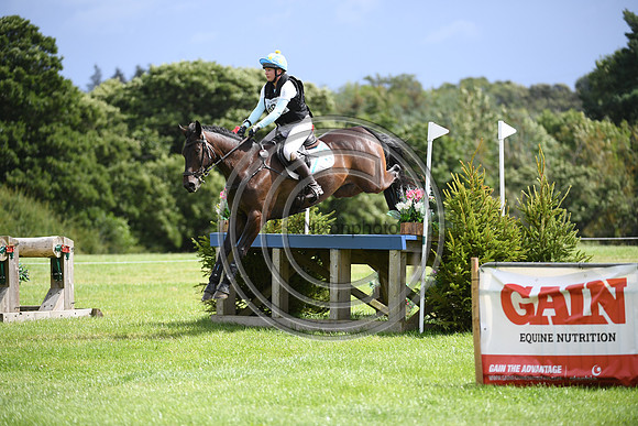 Burgham International Horse