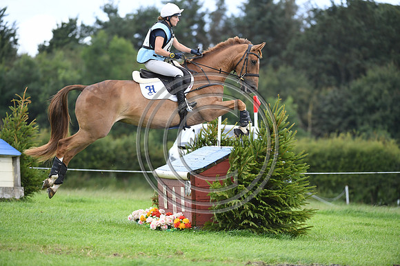 Burgham International Horse