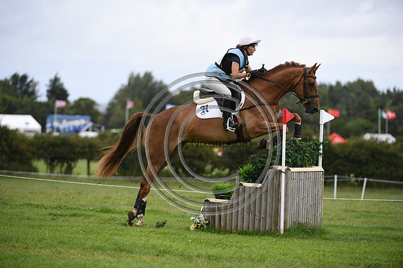 Burgham International Horse