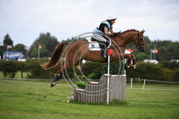 Burgham International Horse